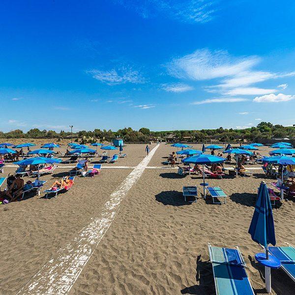 Spiaggia con ombrelloni blu e lettini, cielo sereno e vegetazione sullo sfondo.