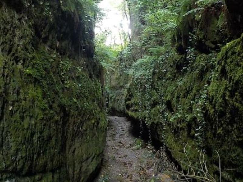 Stretto sentiero tra pareti rocciose coperte di muschio e vegetazione lussureggiante.