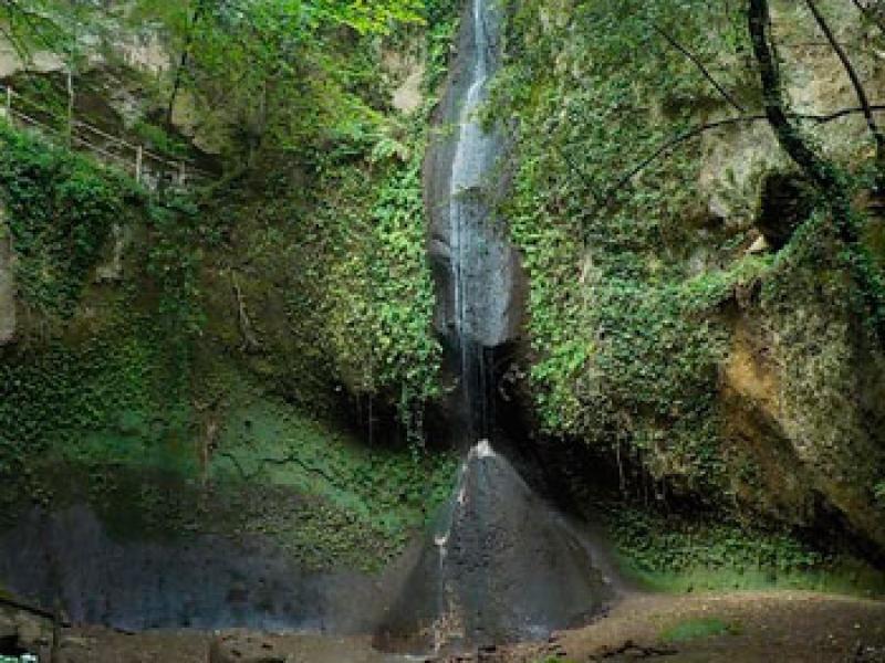 Cascata circondata da vegetazione lussureggiante in un ambiente naturale e tranquillo.